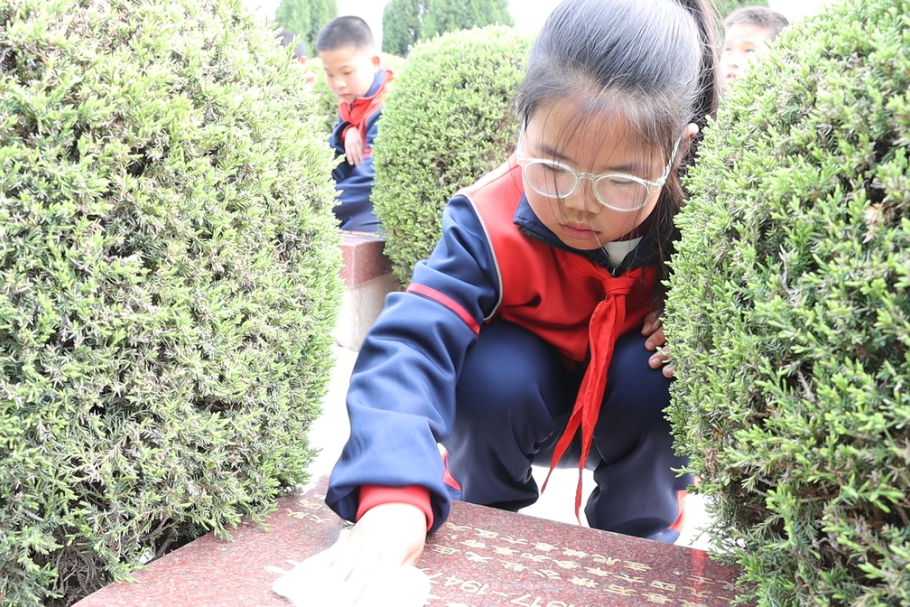 e49fdc86c0fc4a3e961329ef3a54341b