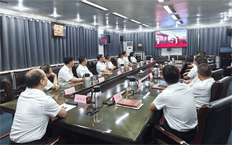 阅兵动图