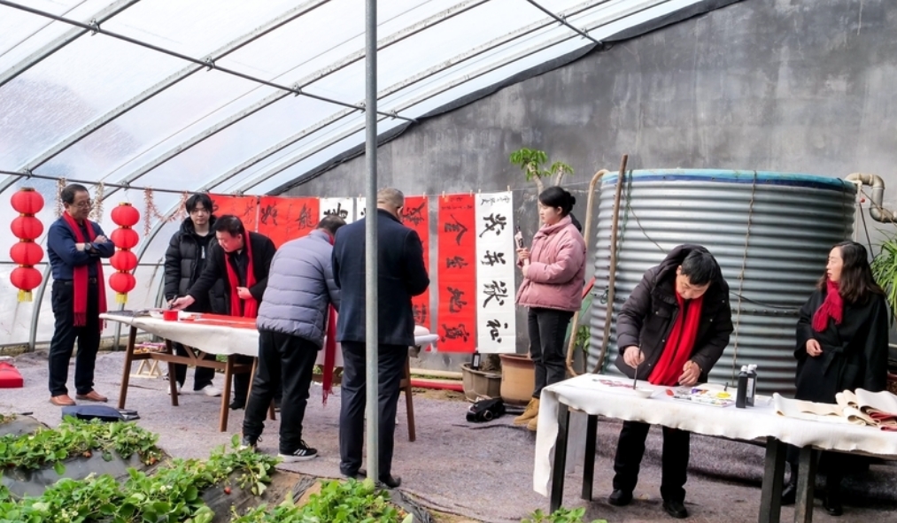 微信截图_20240303102843