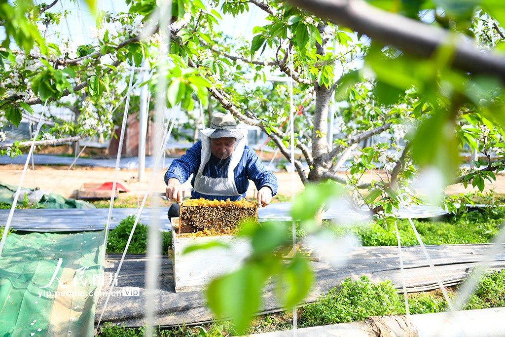 MAIN1709343637918EJTFL7AM9K