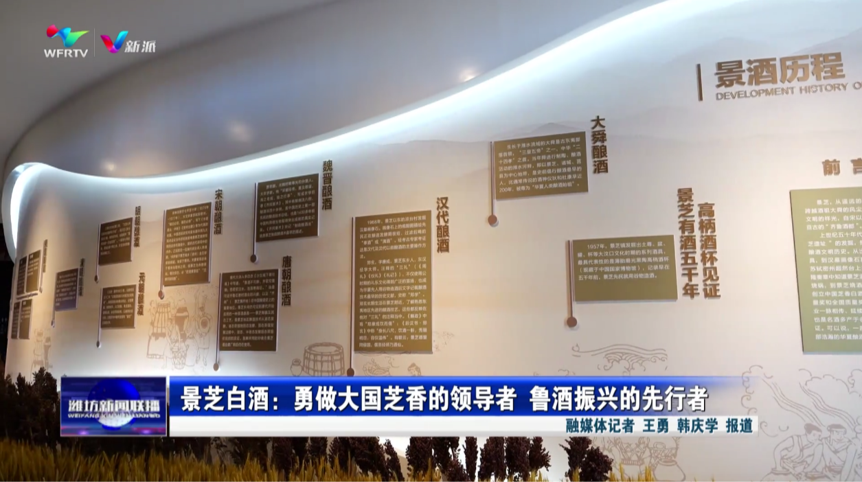 新派网-v新派客户端-潍坊市广播电视台