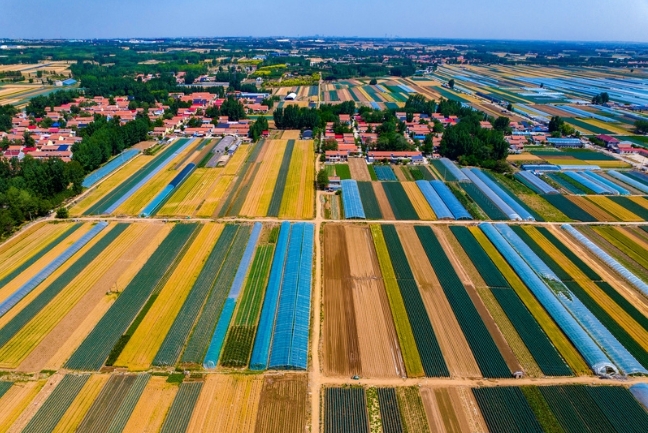 微信截图_20240606161943