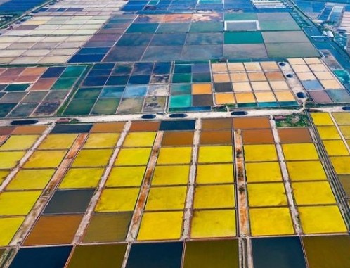 微信截图_20240808145101