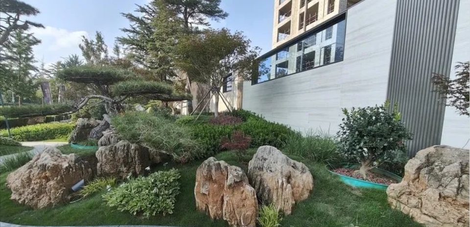 微信截图_20240813163042