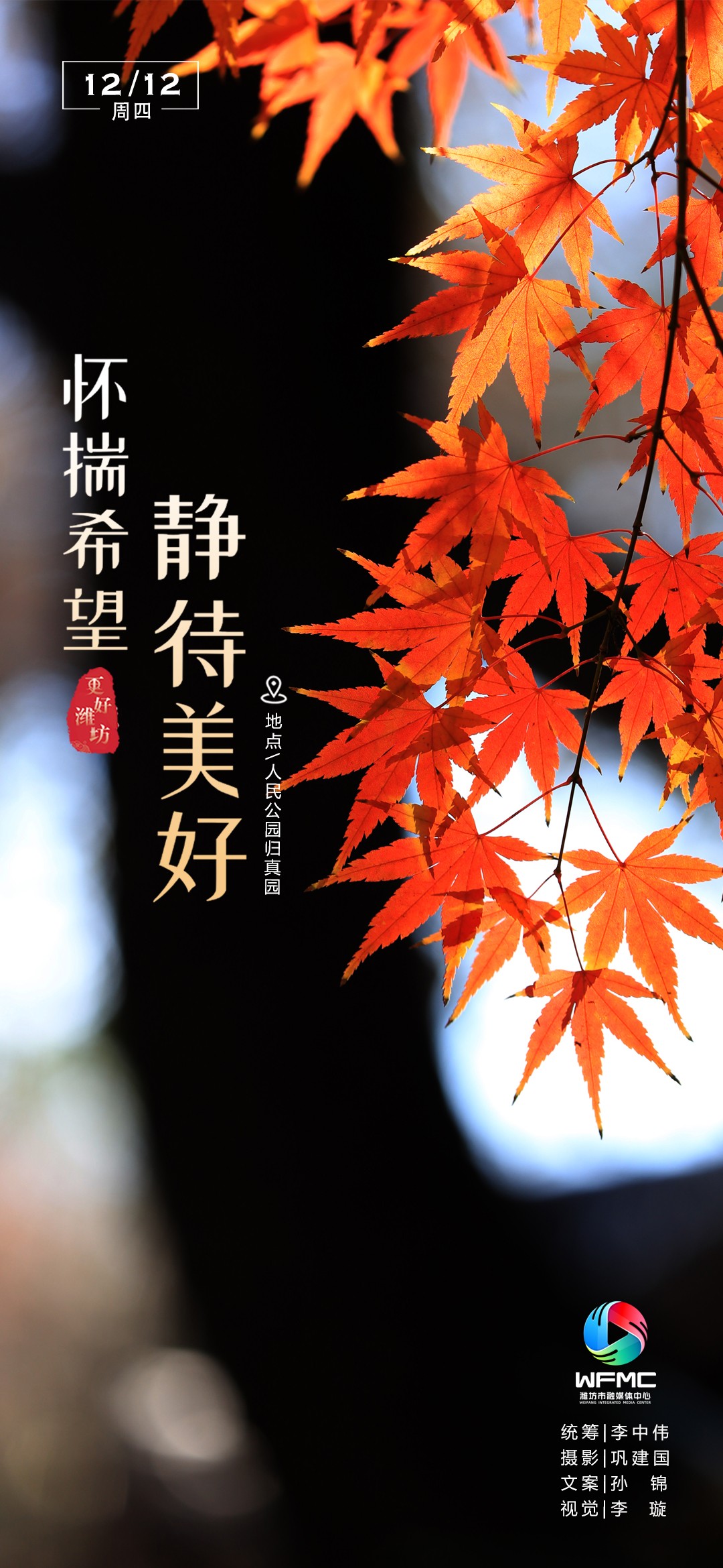 微信图片_20241211172109