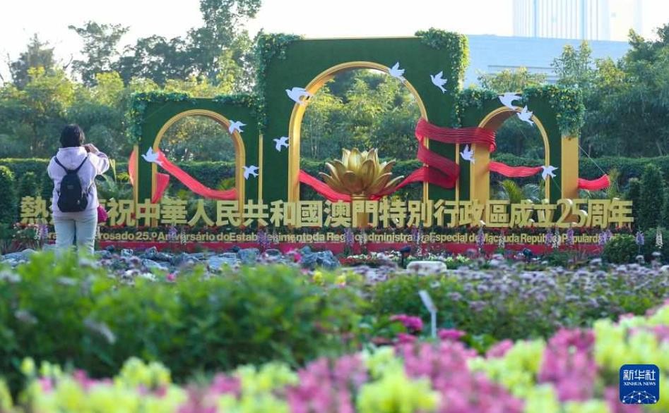 360截图20241218102454861