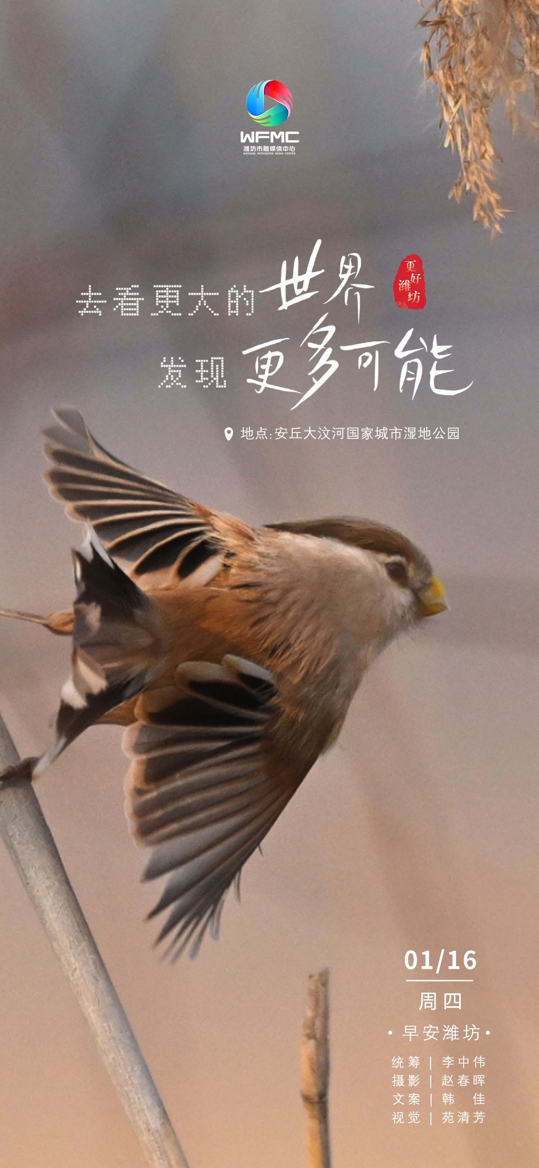 微信图片_20250115172226