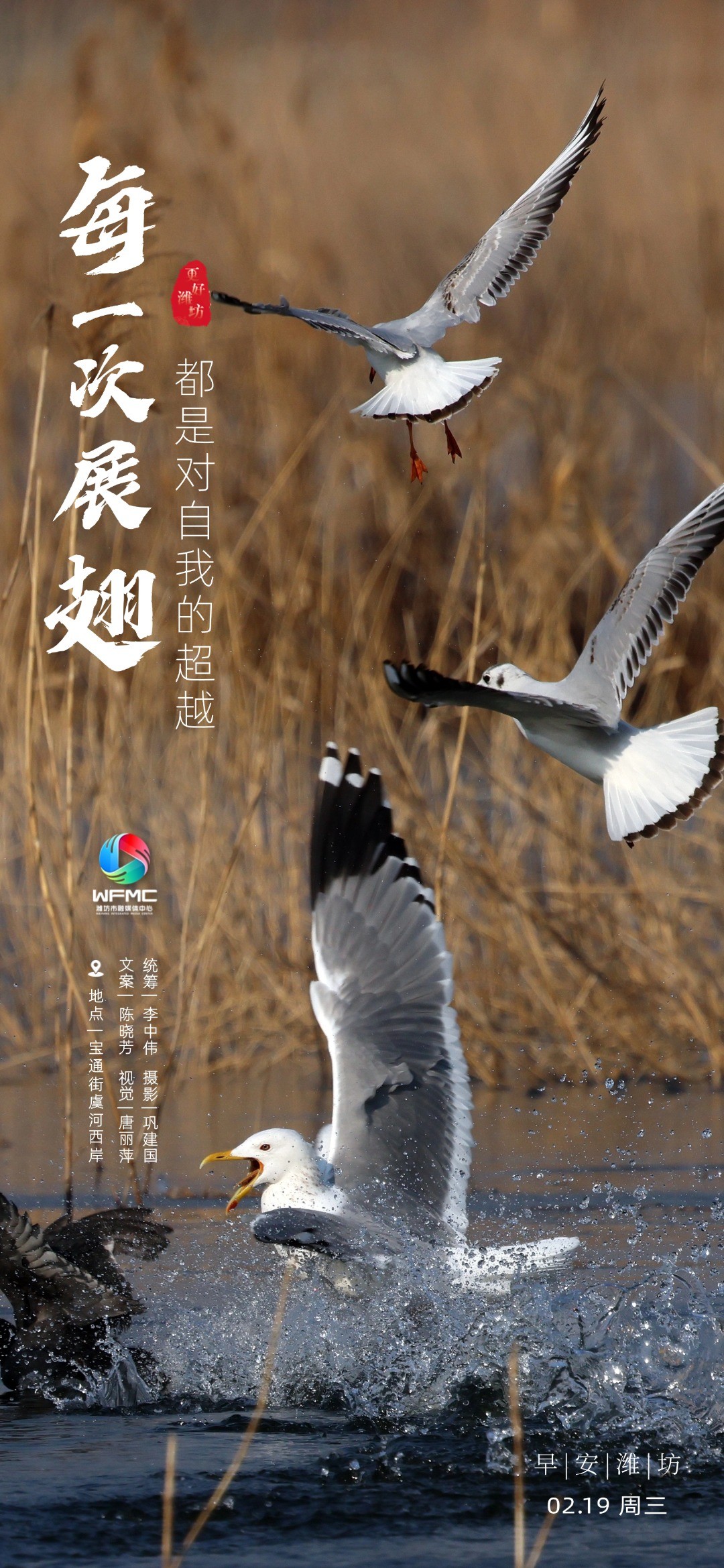 微信图片_20250218191246