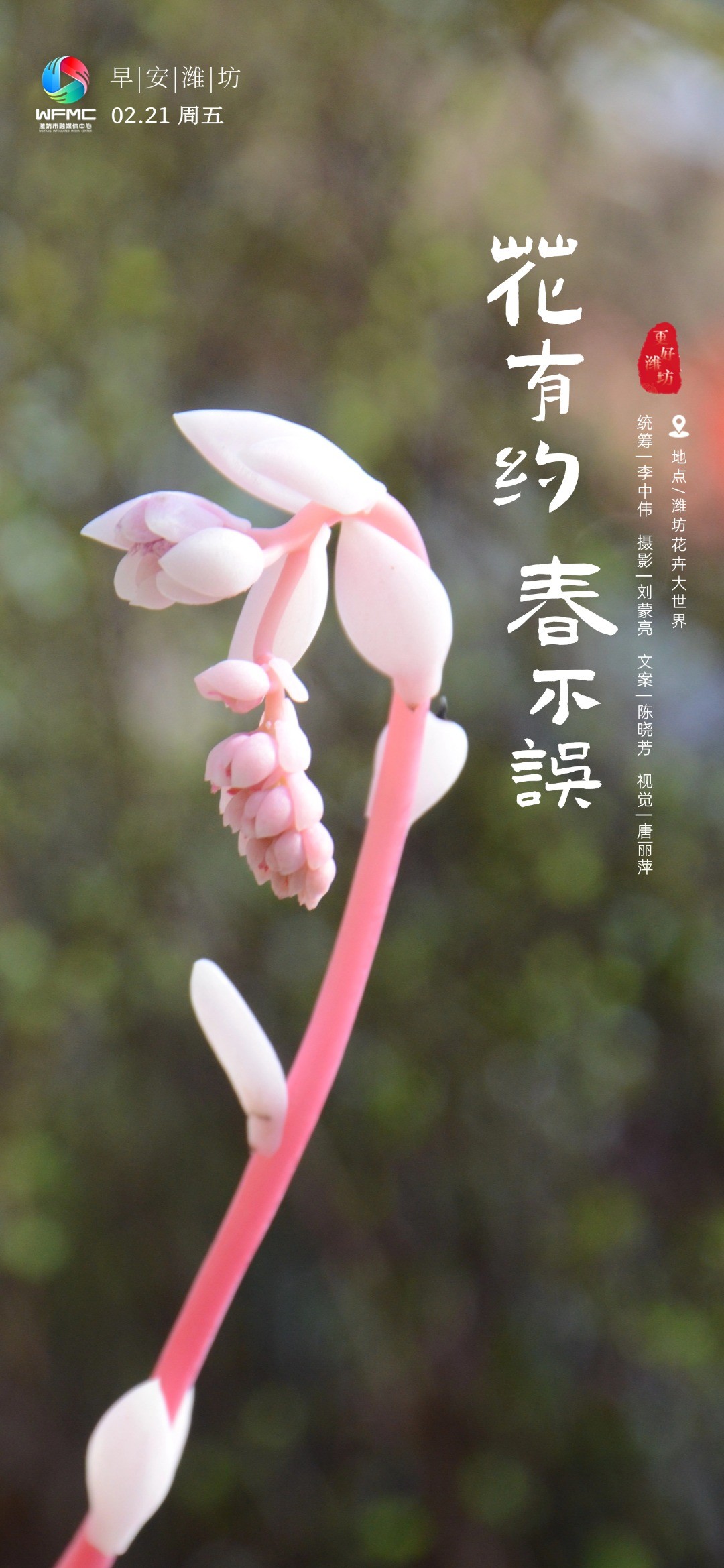 微信图片_20250220192634