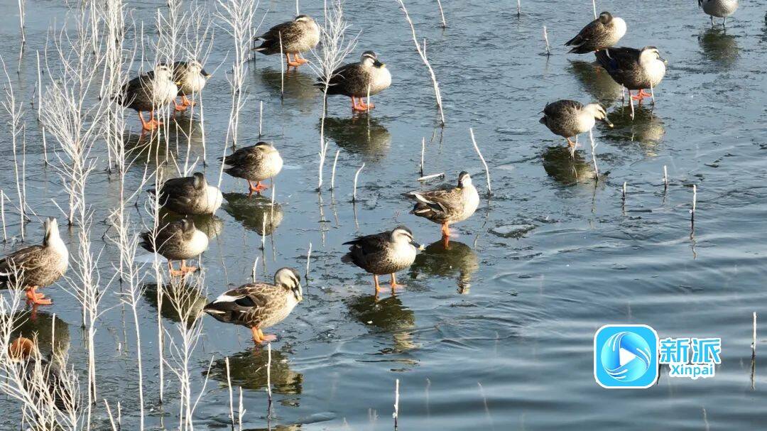 30c31bc9a1804306a0bba736fa13bf34