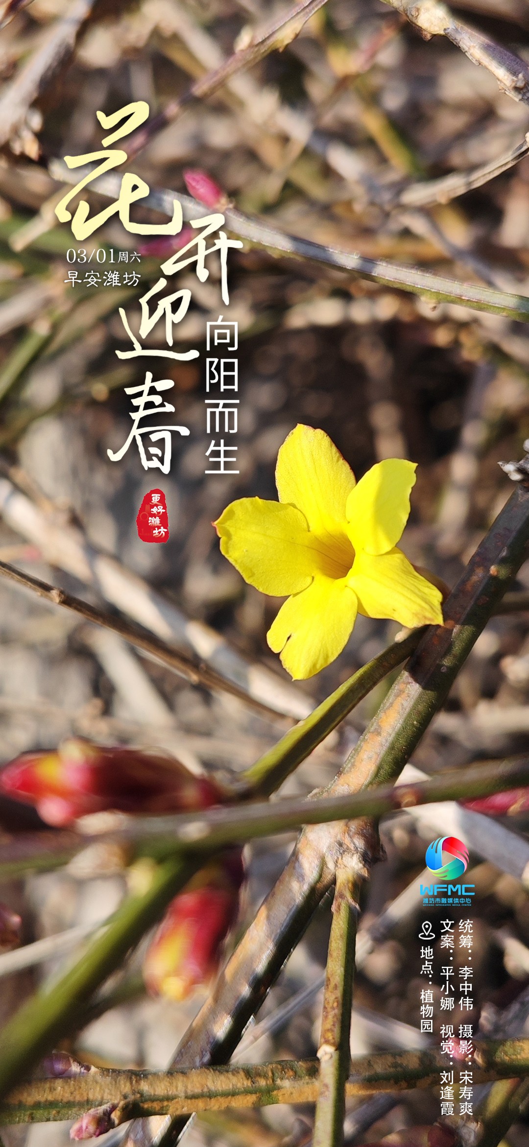 微信图片_20250228192950