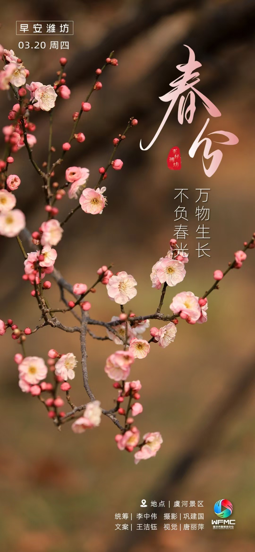 微信319
