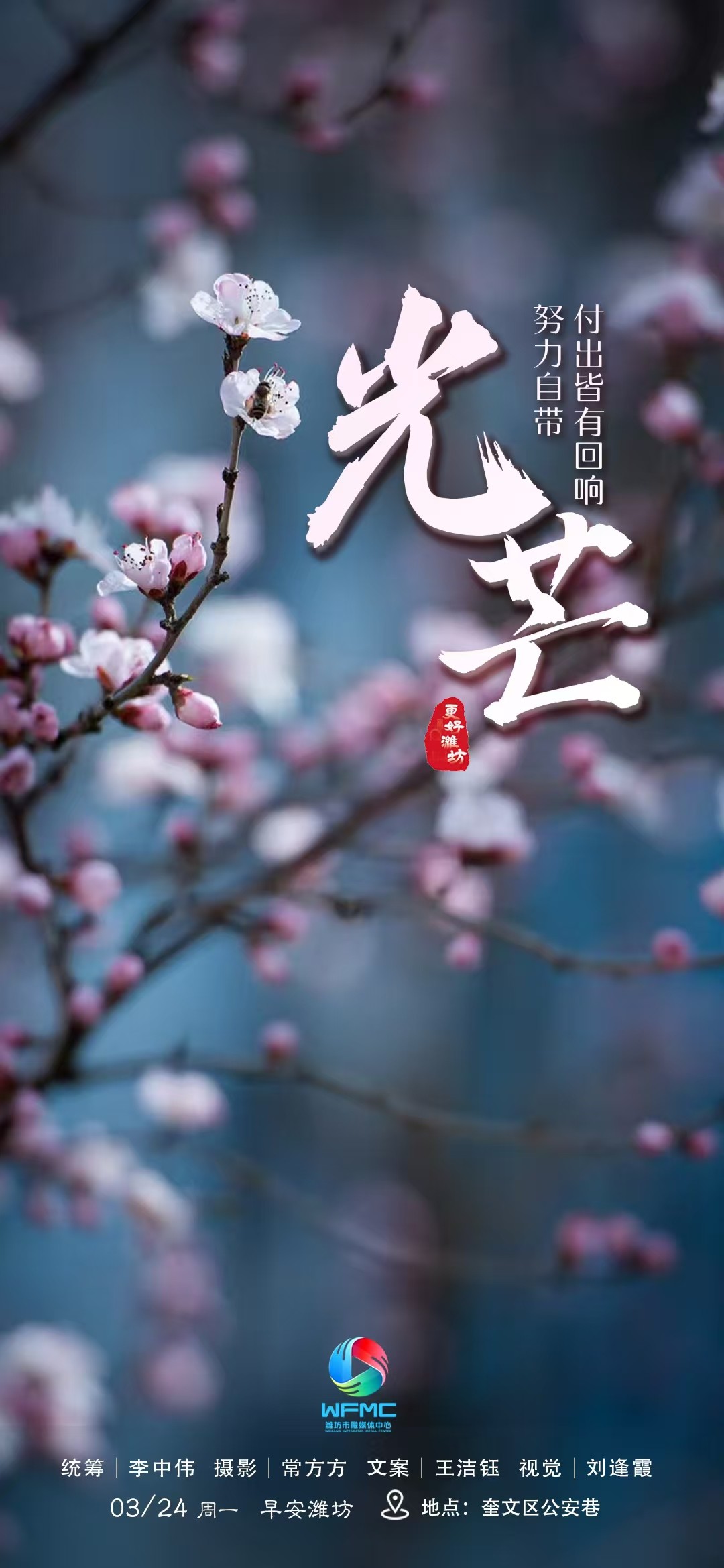 微信84008