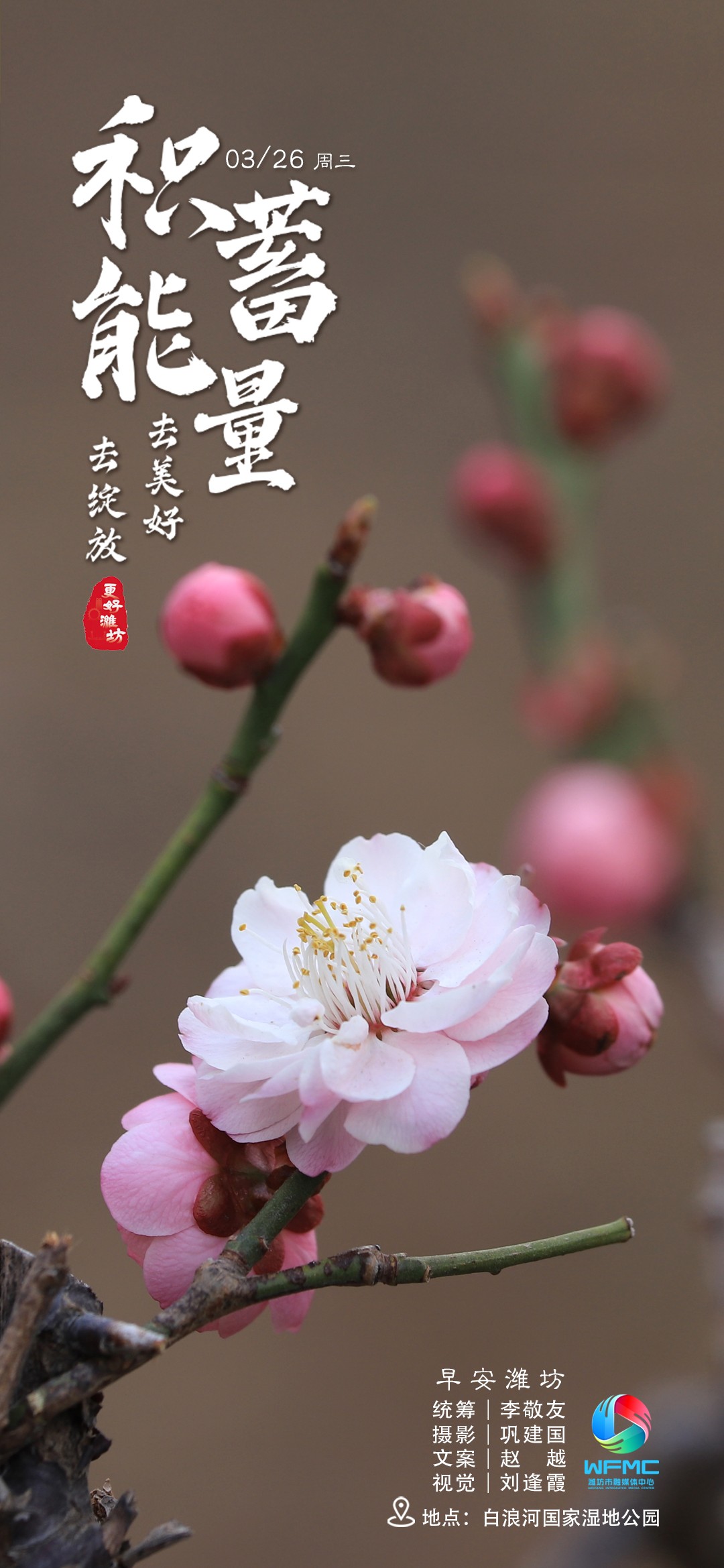 微25195511