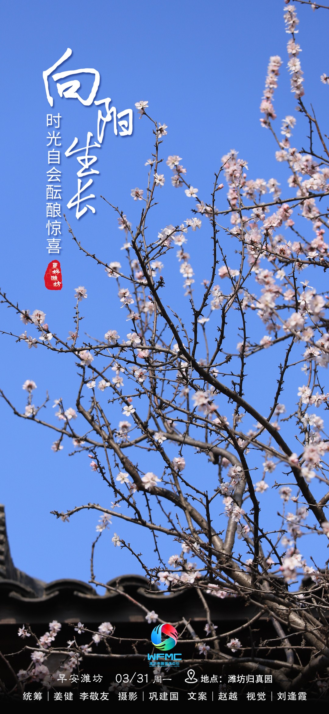 微信图片_20250330115756