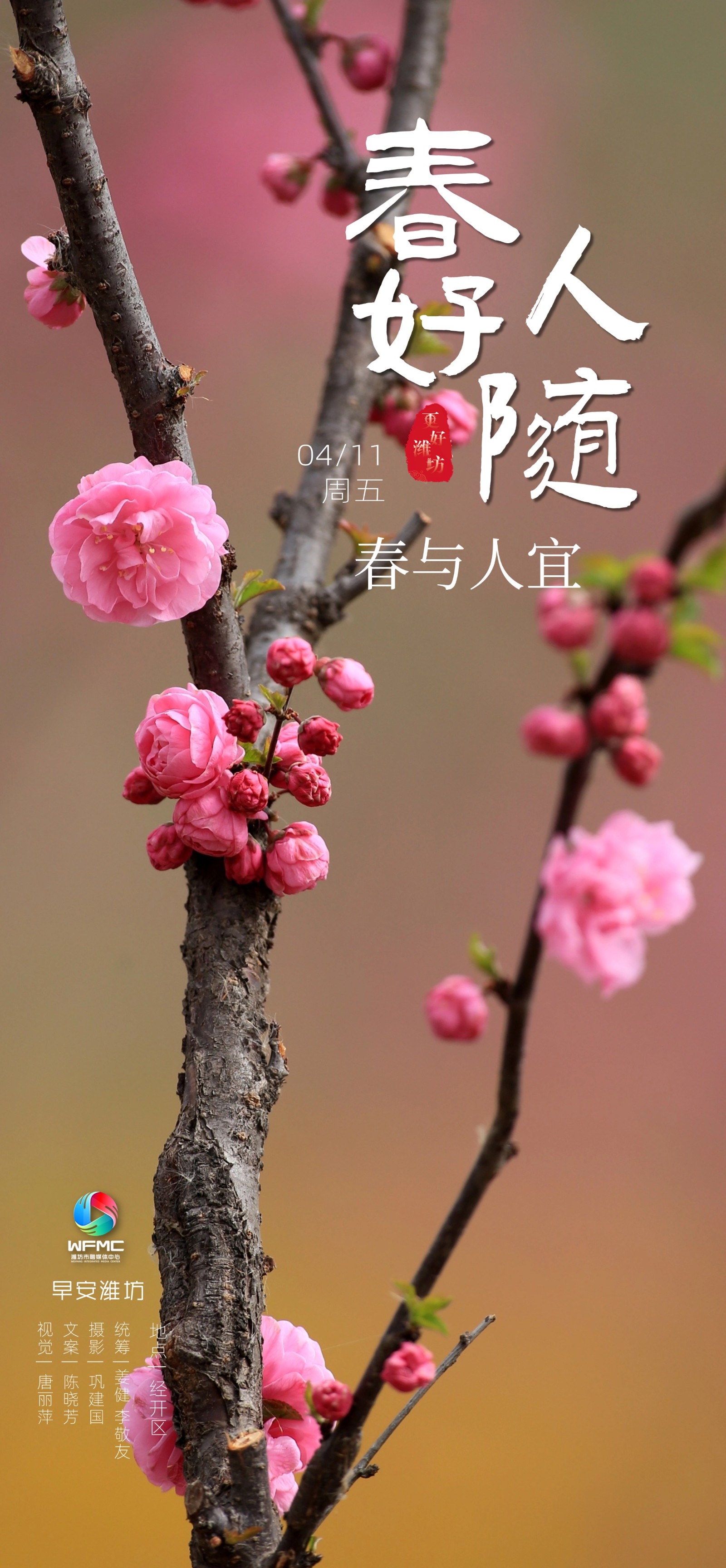微信图片_20250410131749
