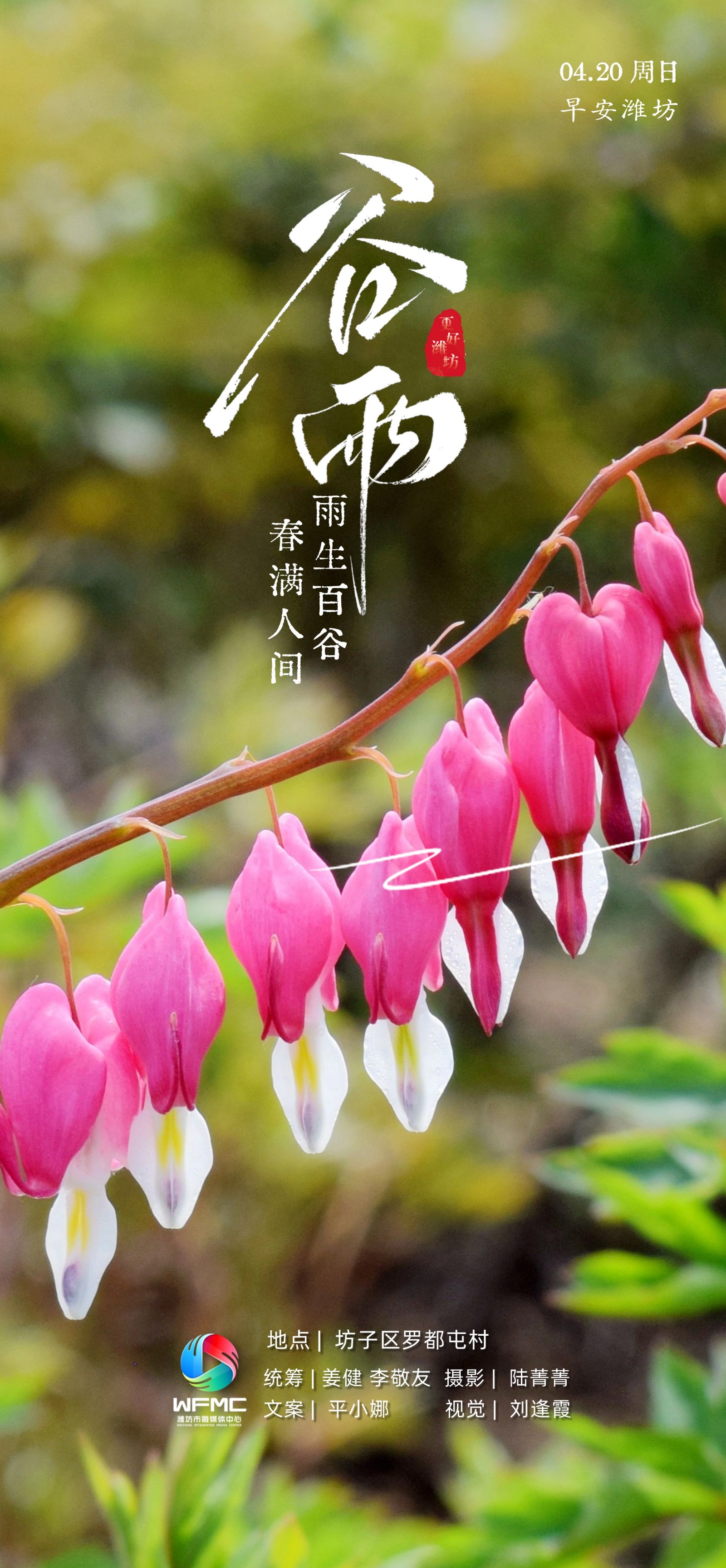 早安潍坊首图0420