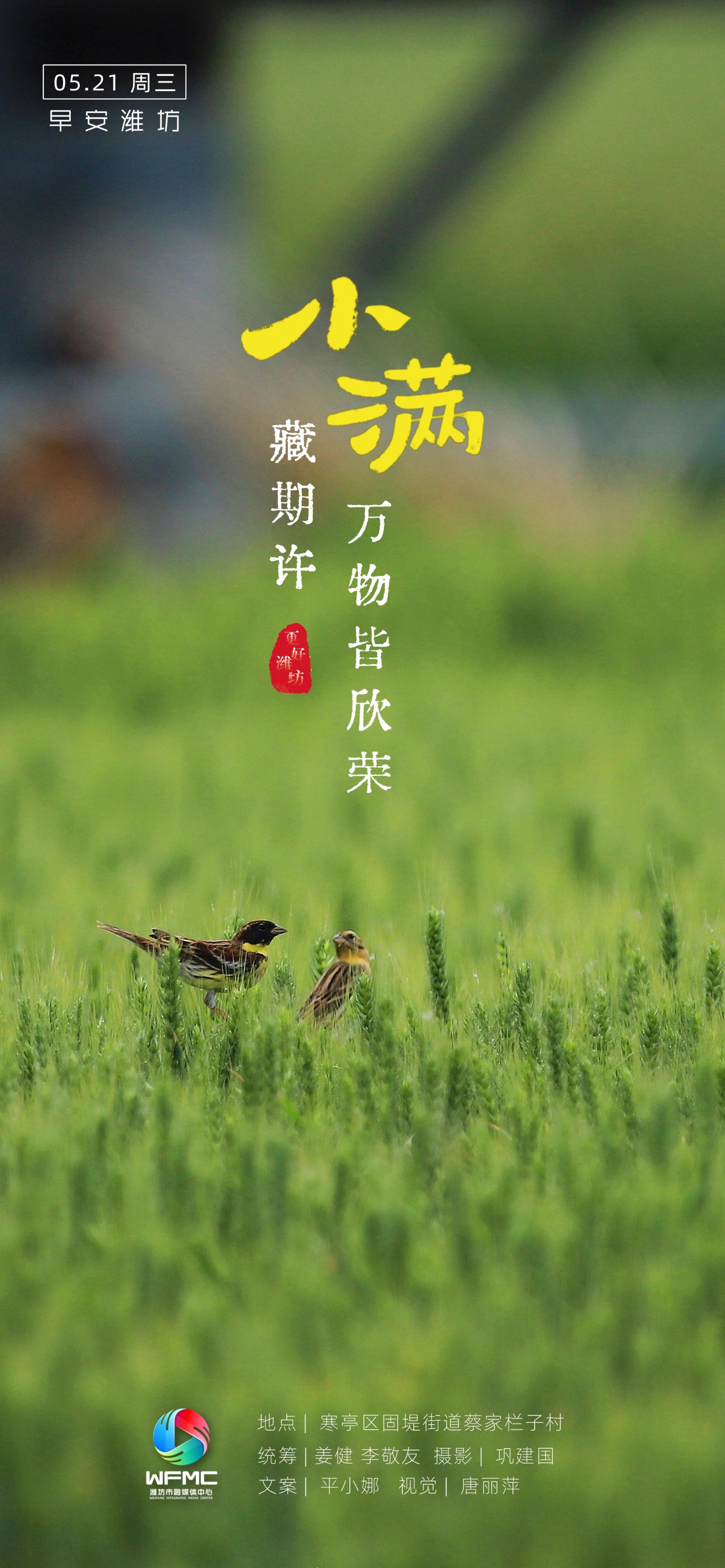 微信图片_20250520194640
