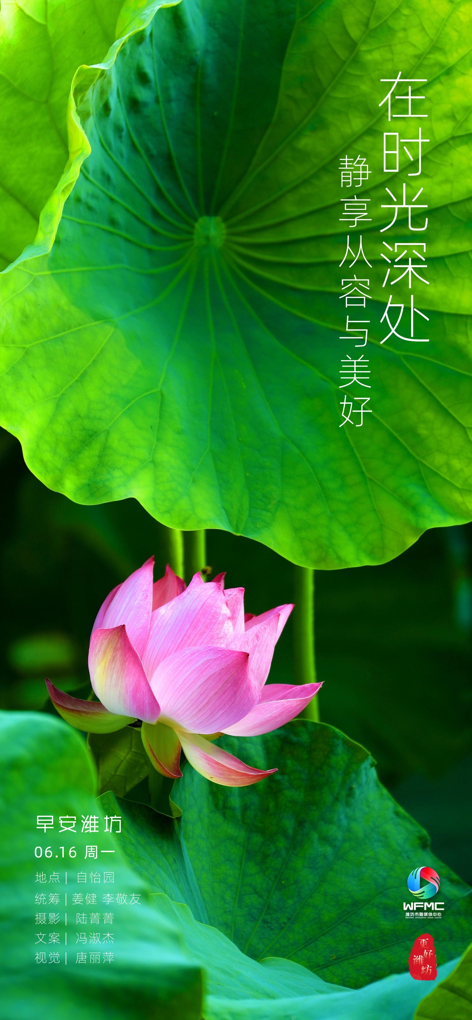 微信图片_20250615183731