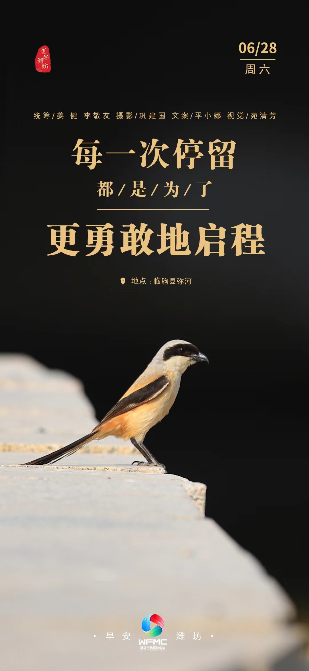 微信图片_20250627201426