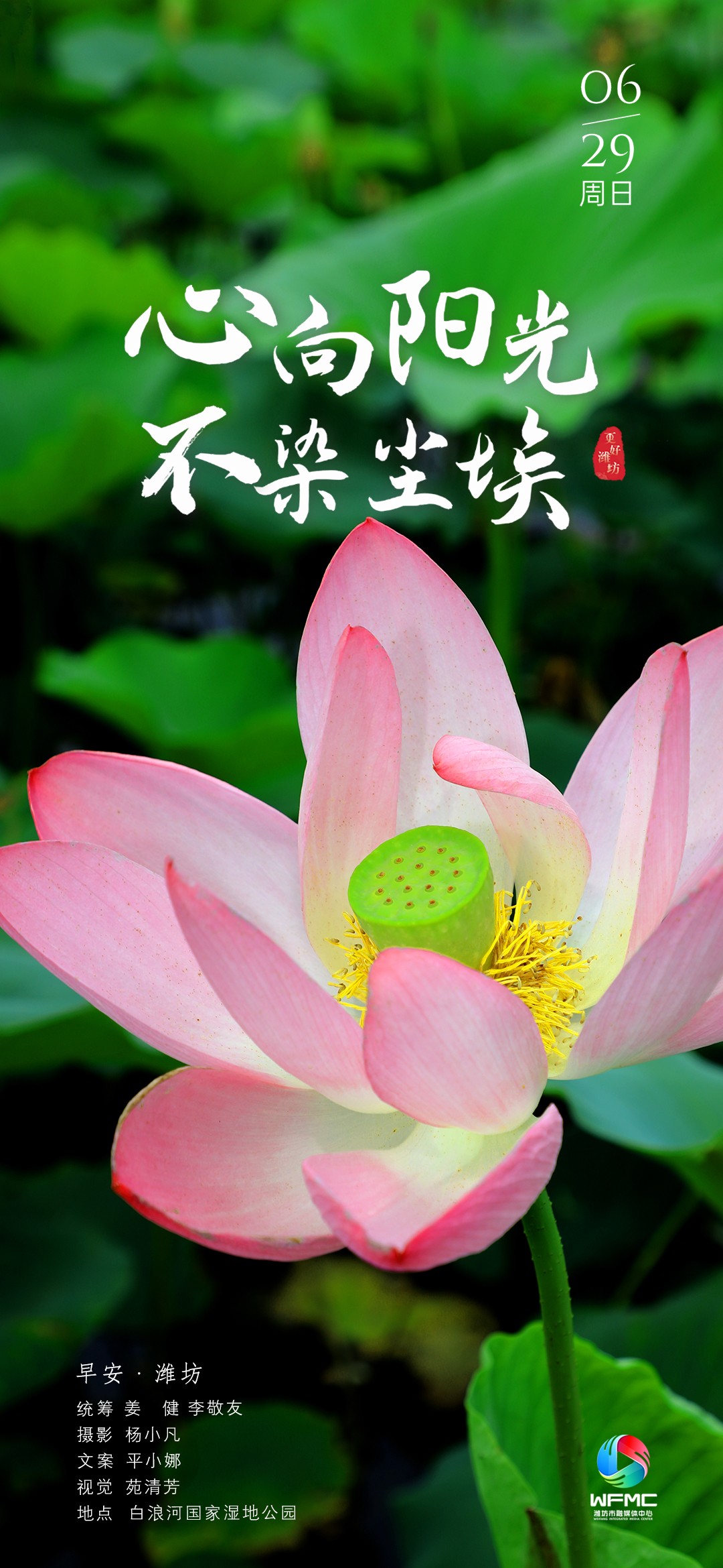 早安首圖0629