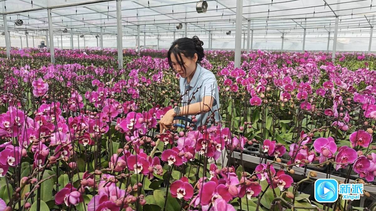花房