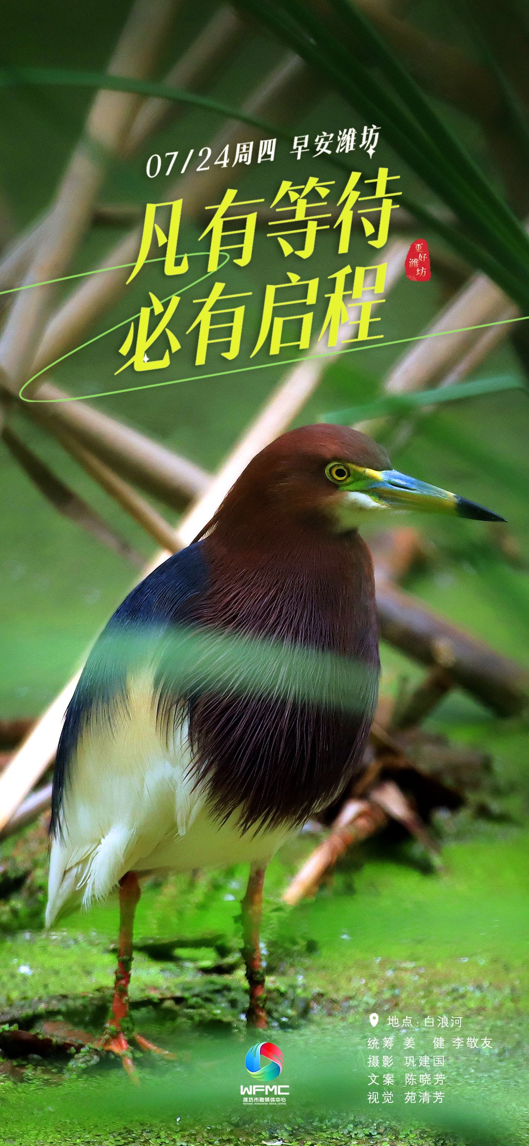 微信图片_20250723172240