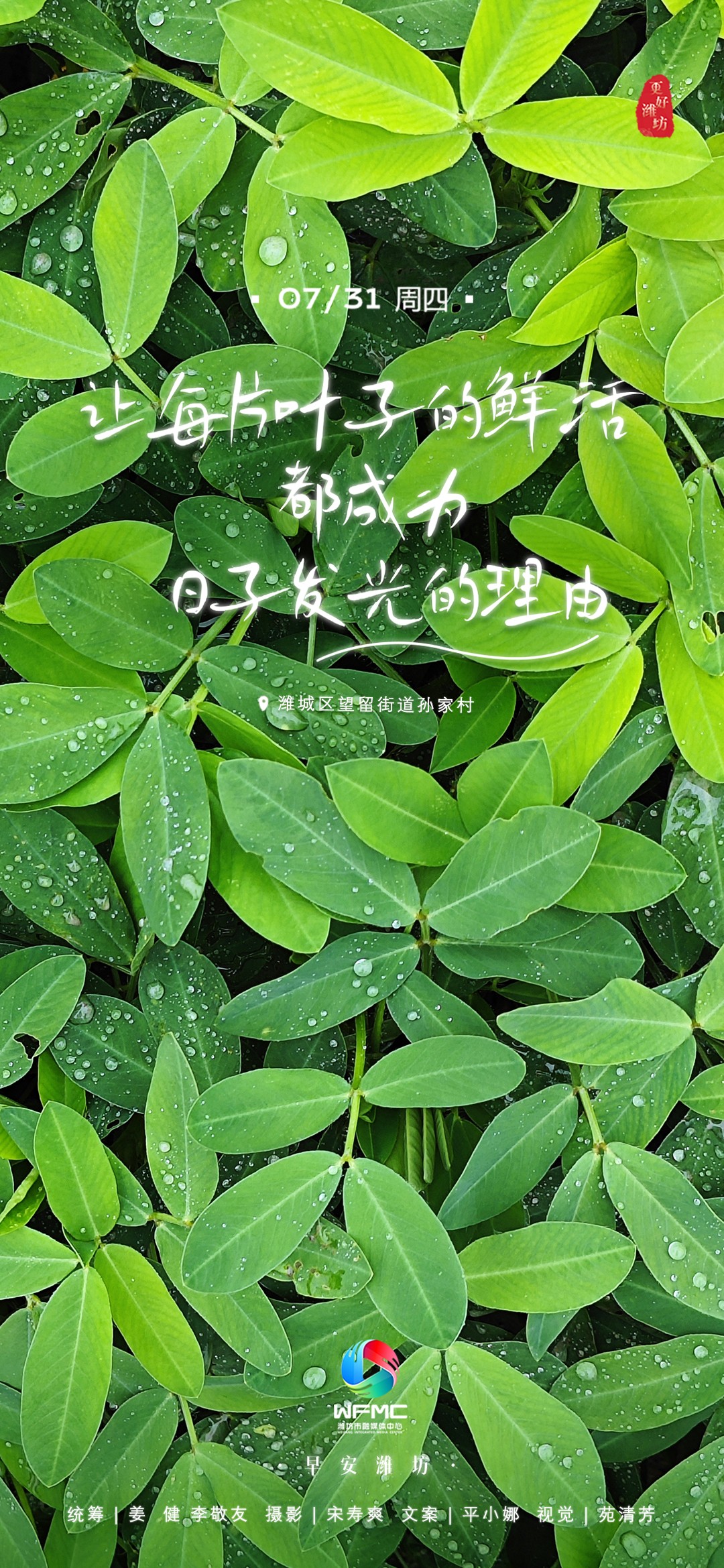 微信图片_20250730164716