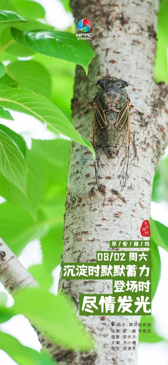 早安0802