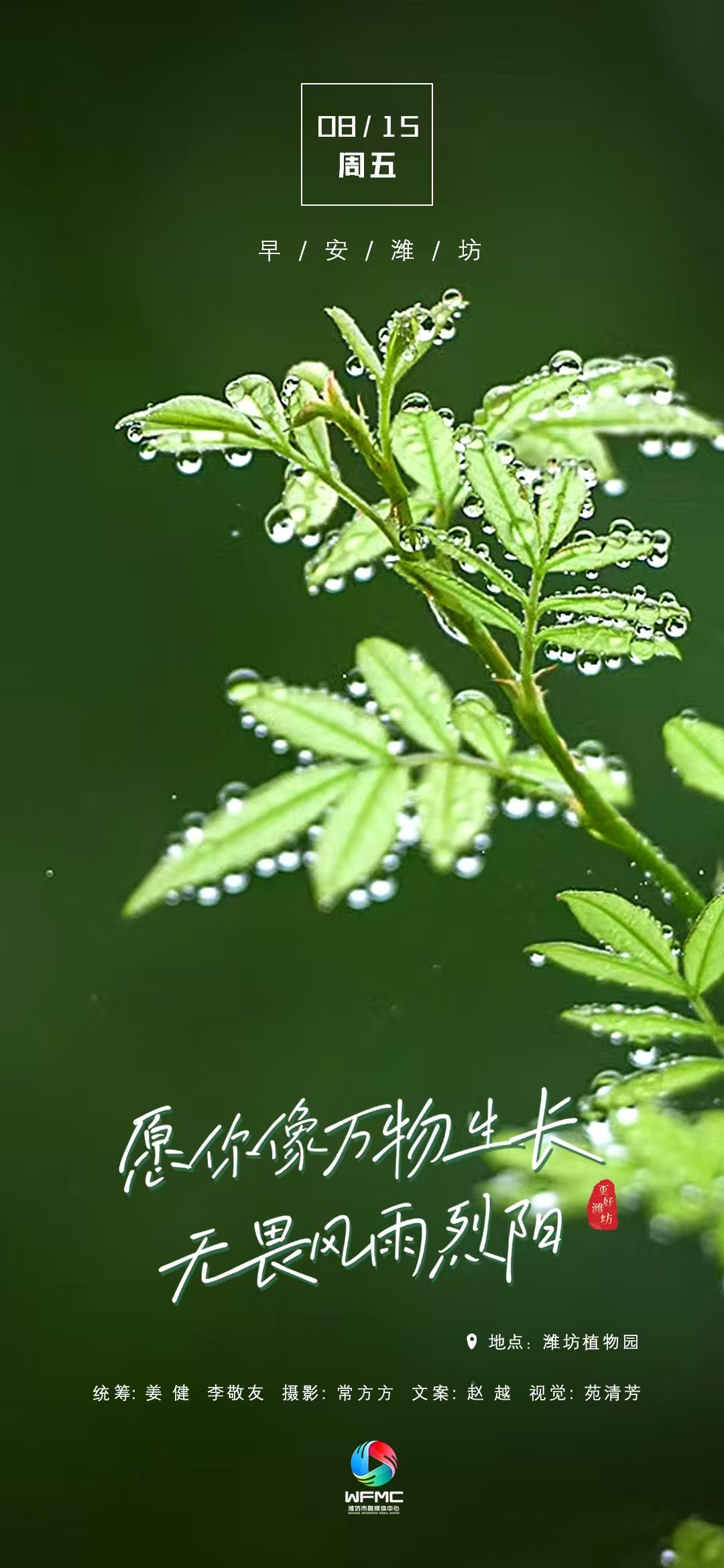 微信图片_20250814204124
