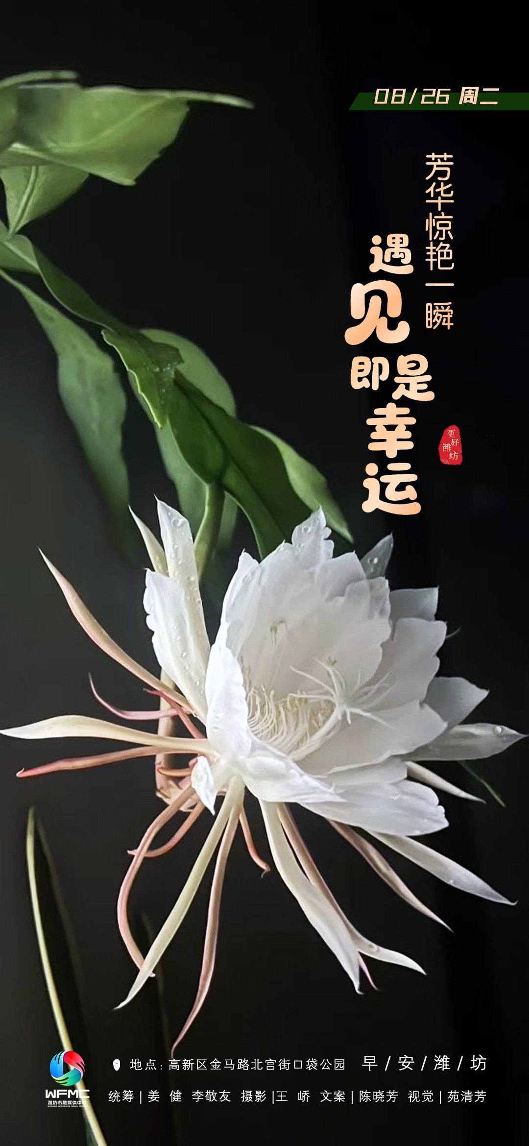 0826首图
