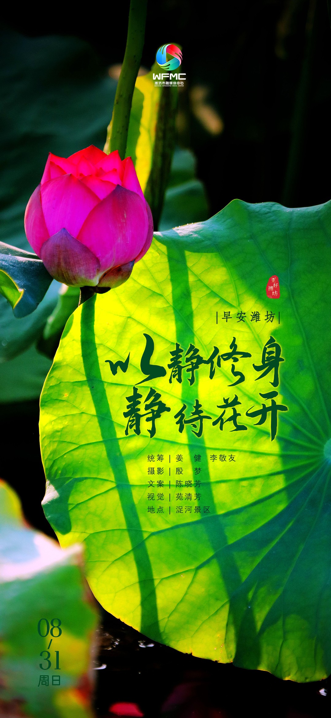 早安潍坊首图0831