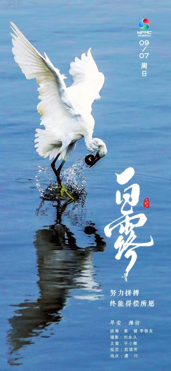 微信图片_20250905173117_56_102