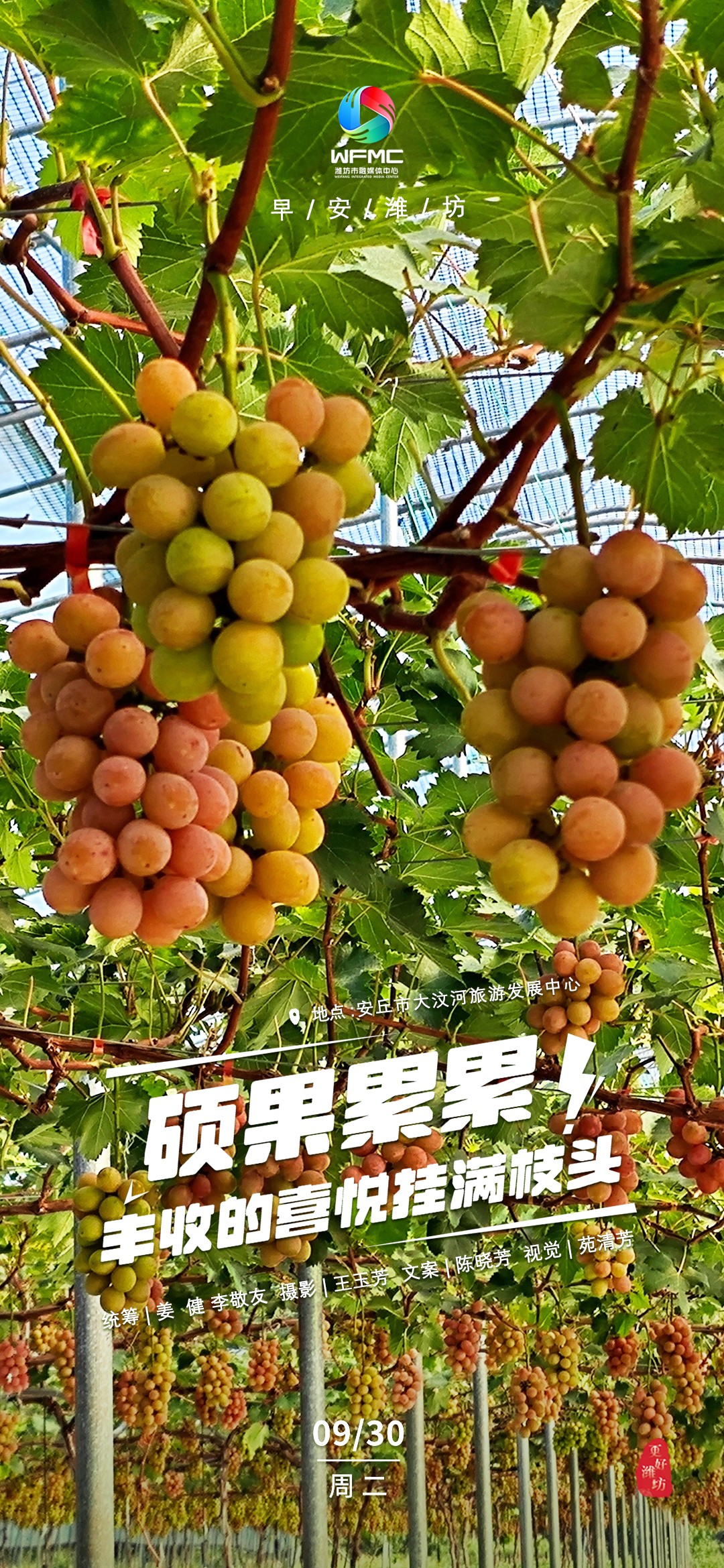 微信图片_20250929184610_1_20