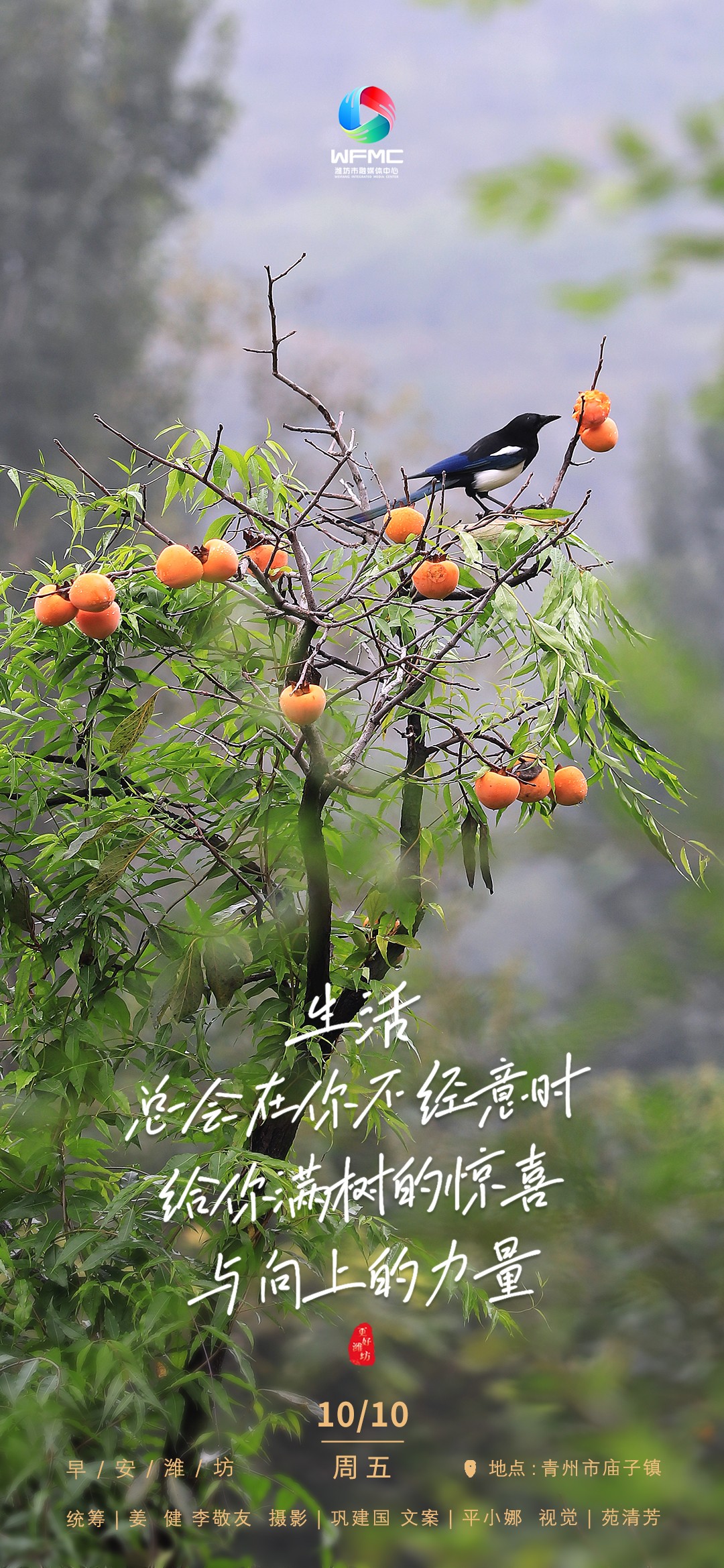 微信图片_20251009172127_104_224