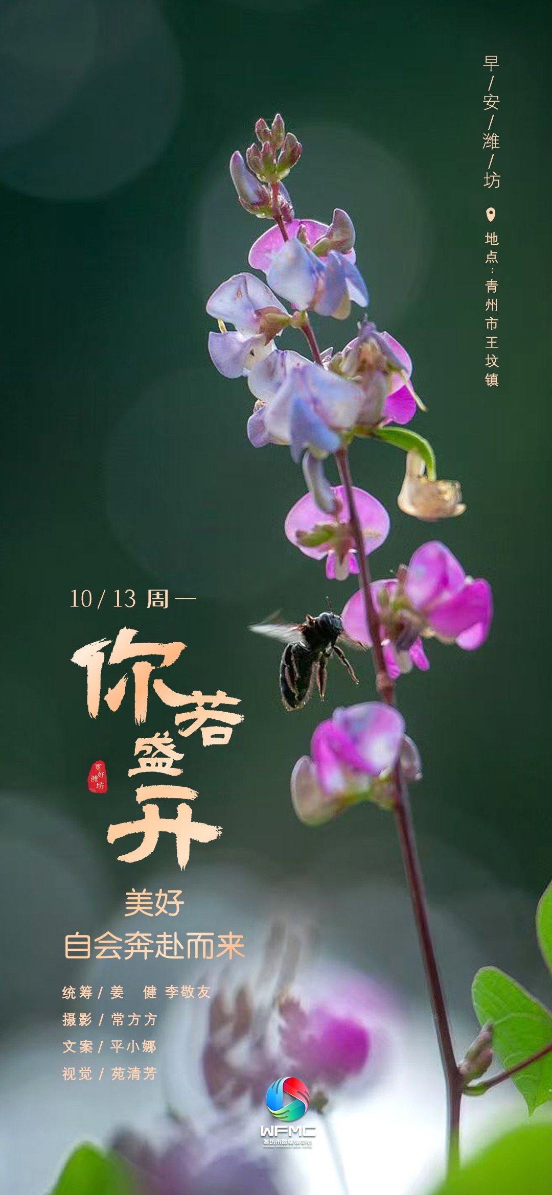 微信图片_20251010170746_281_104