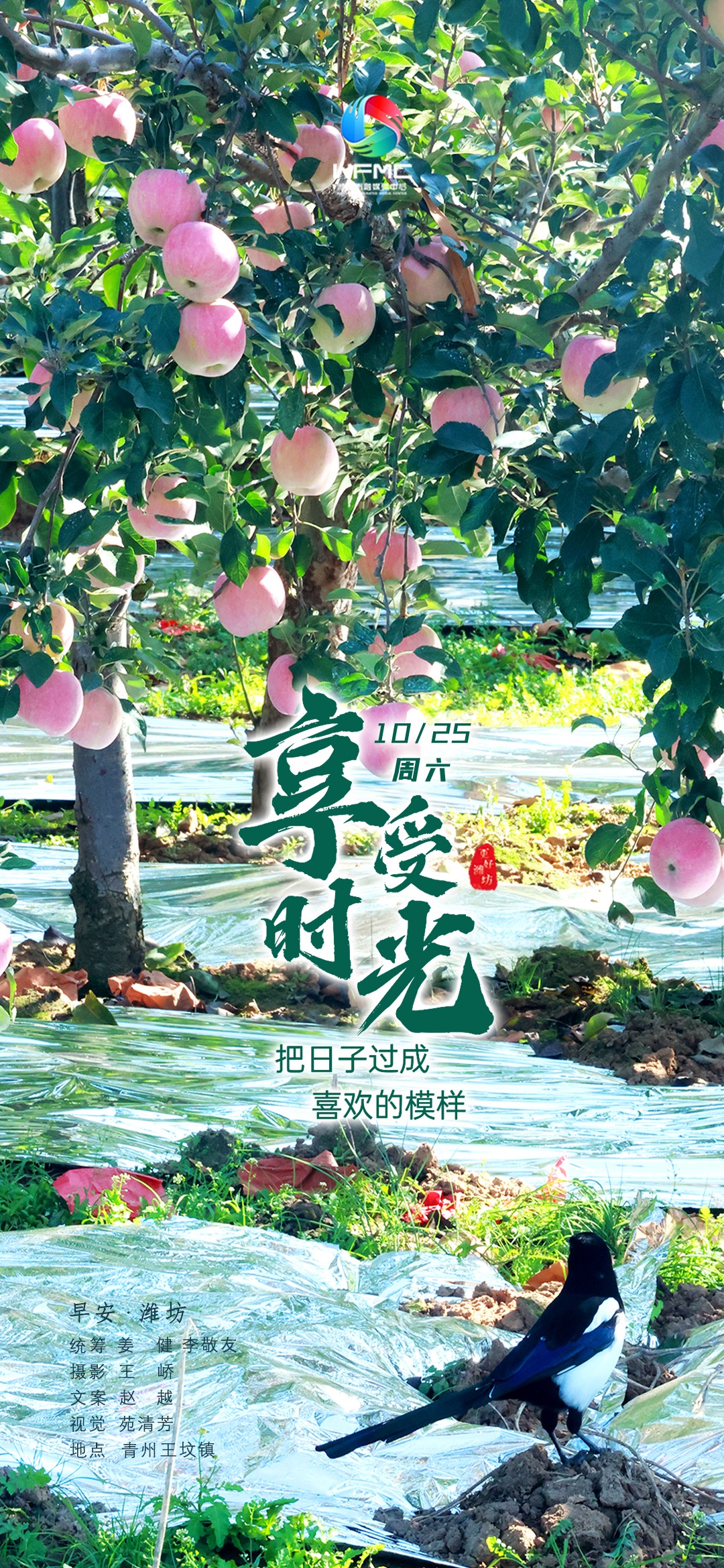 微信图片_20251024172210
