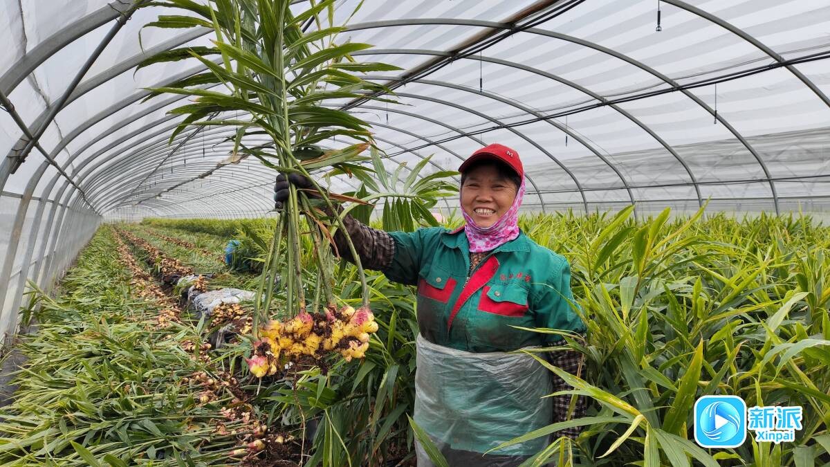 2cd69d90b851dfb6efedbe937d9daa13