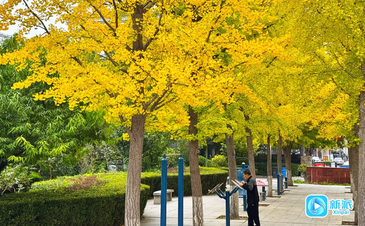 f2f66b8dc679ad0e6c914bba09c80001