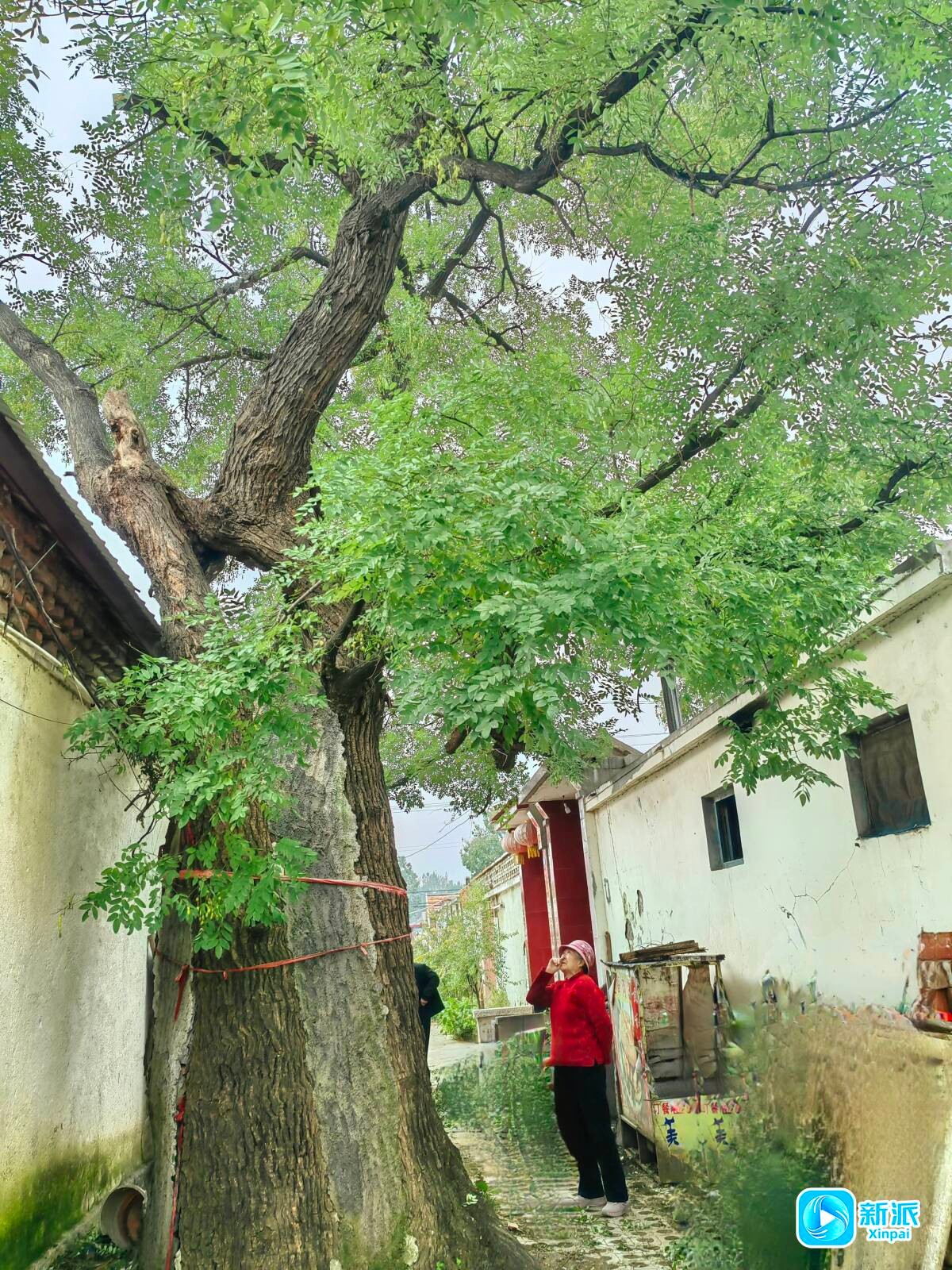 0126f09f74b0337d38adccb1c4638fa3