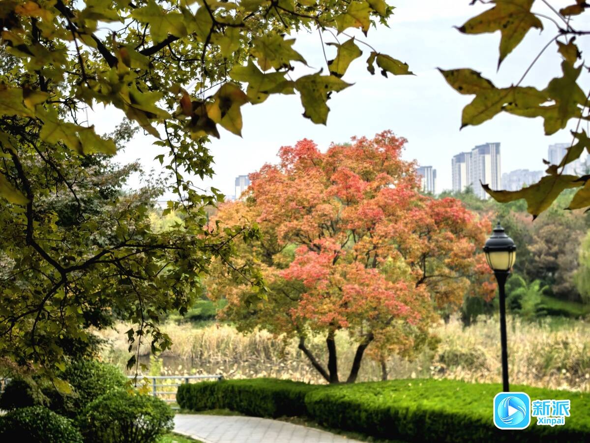 bec60f57c98780b3555e018a79c6d3f7