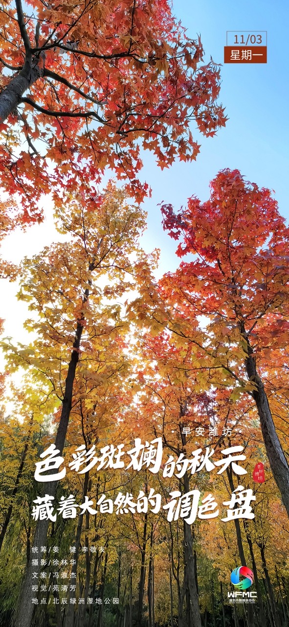 微信图片_20251102175211_1417_139