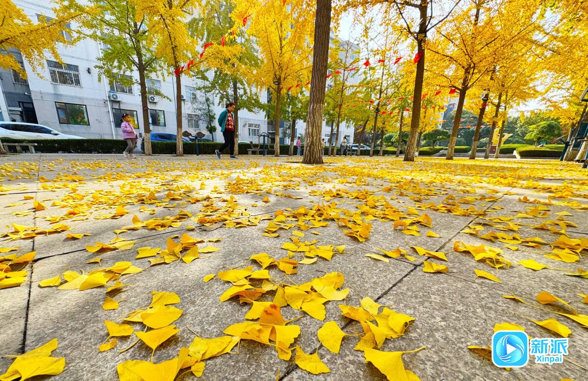 ab4a91847587b20e6c46d5d392e549d2