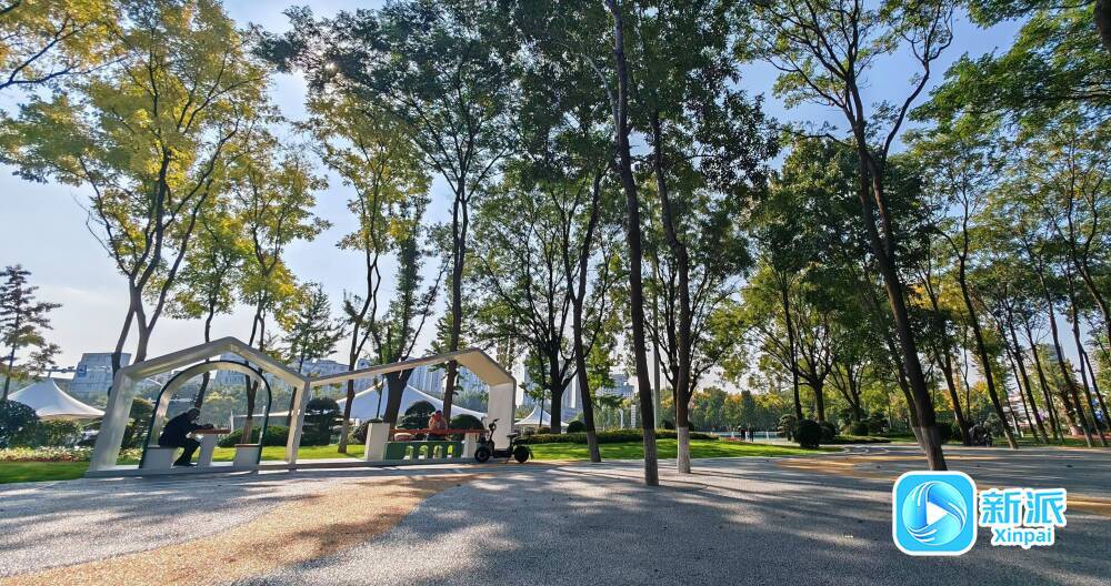 44355d9a5d804aaf94c2d73b75742c8e