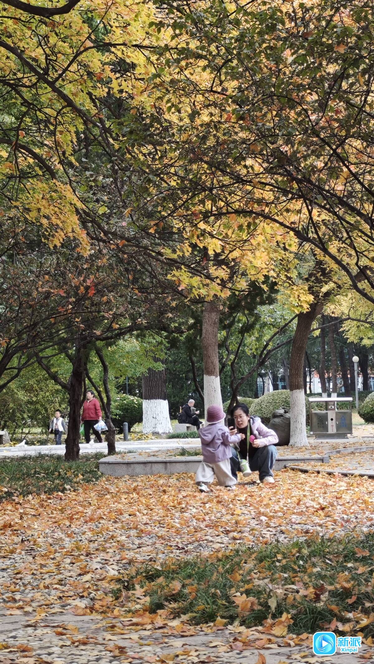 6218fdda1103618bb49f349cec3102ea