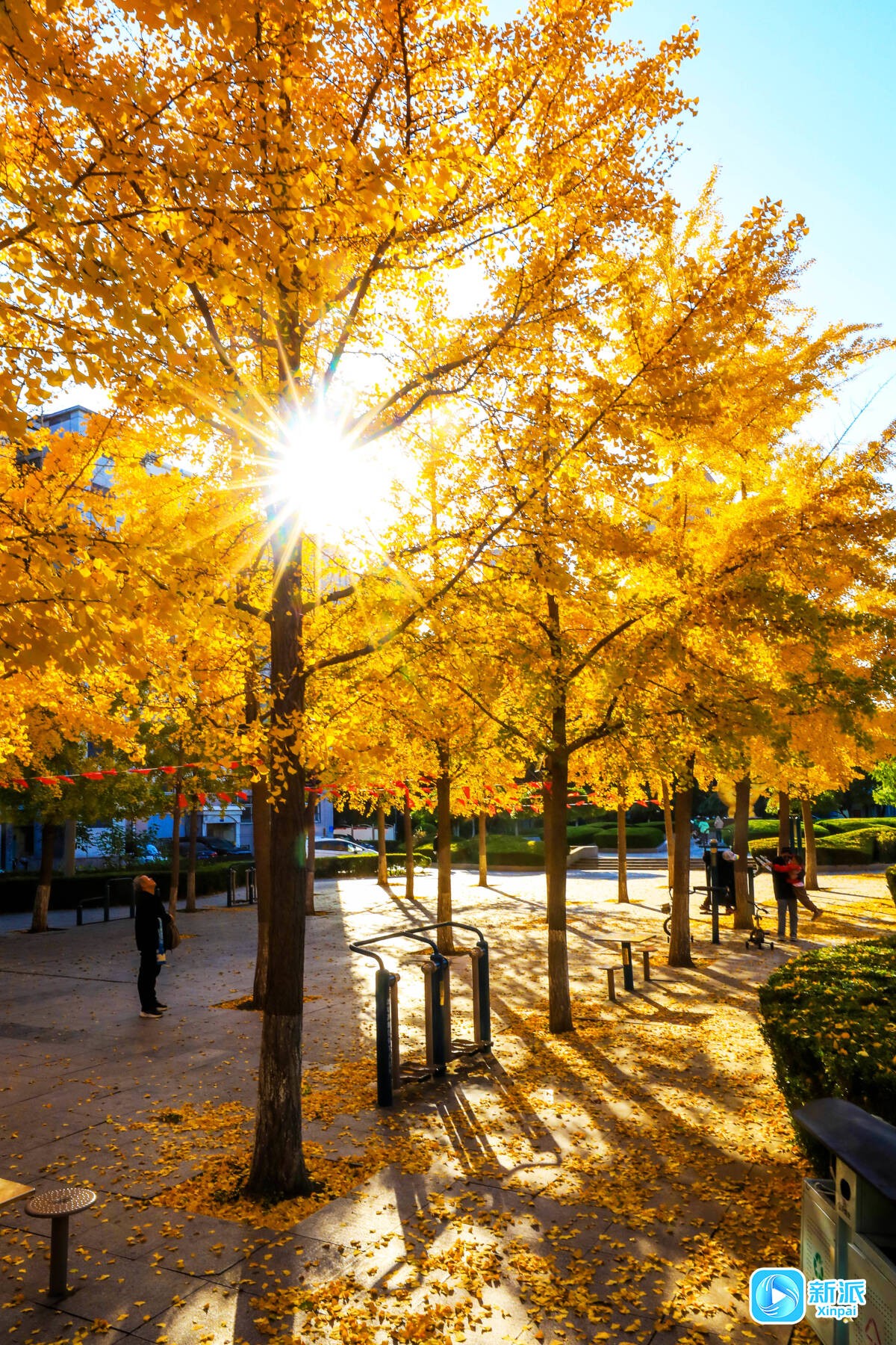 8f17721fcd9fb27f4a664db1fa6cb4be