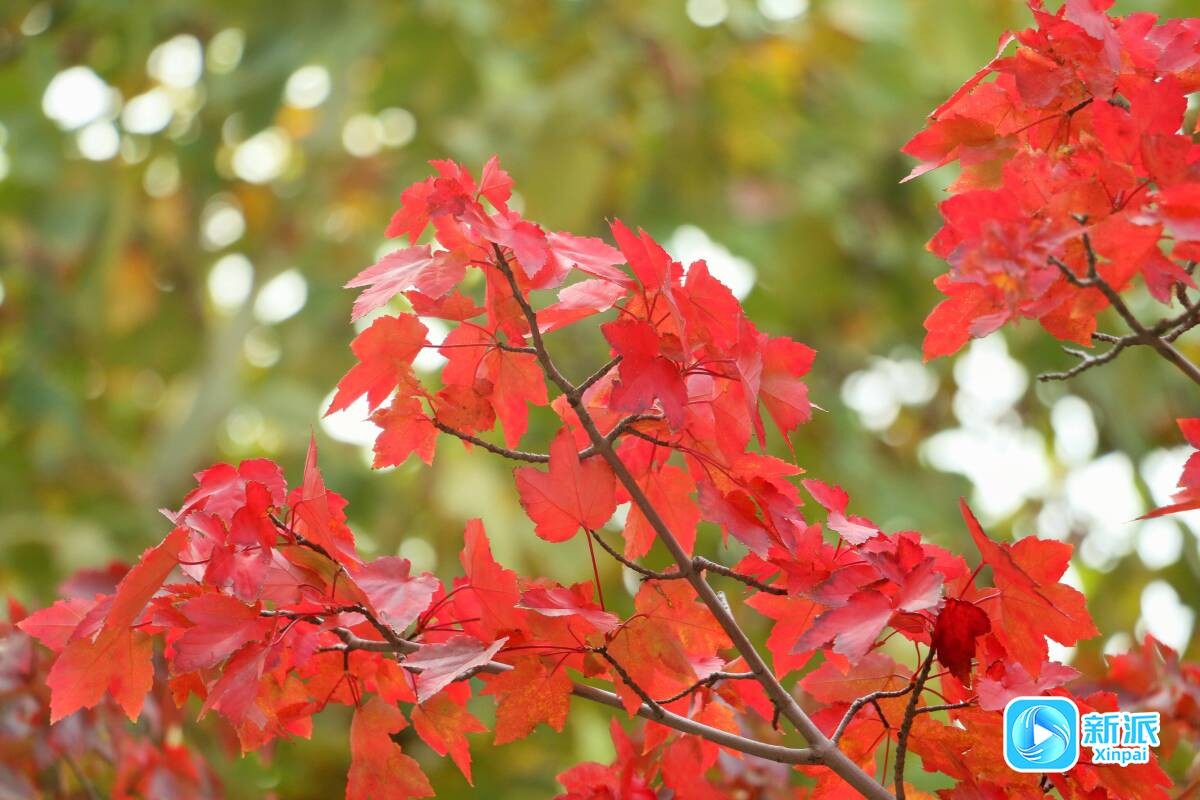 58dce64fc66d5a1bc5258631ec6cb6f6