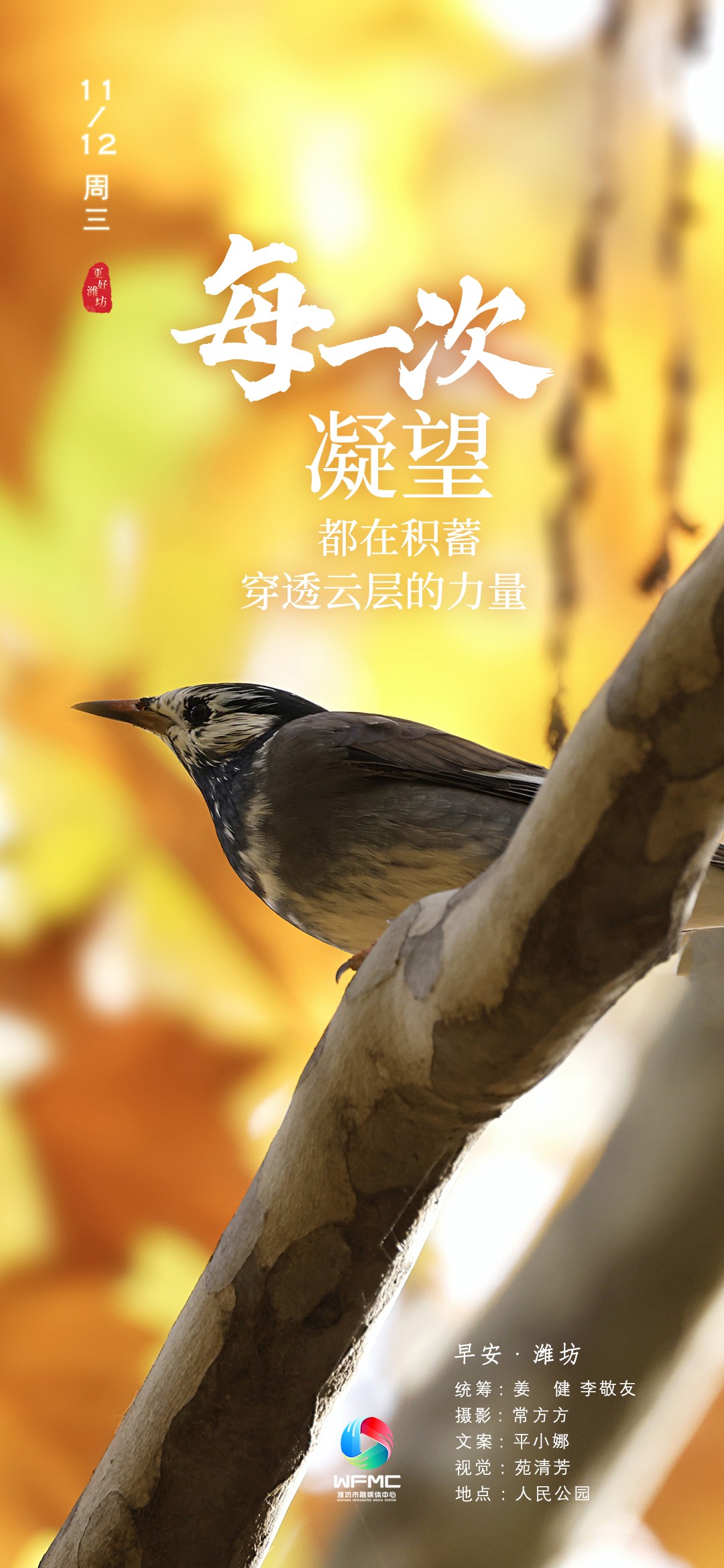 微信图片_20251111185450_384_104