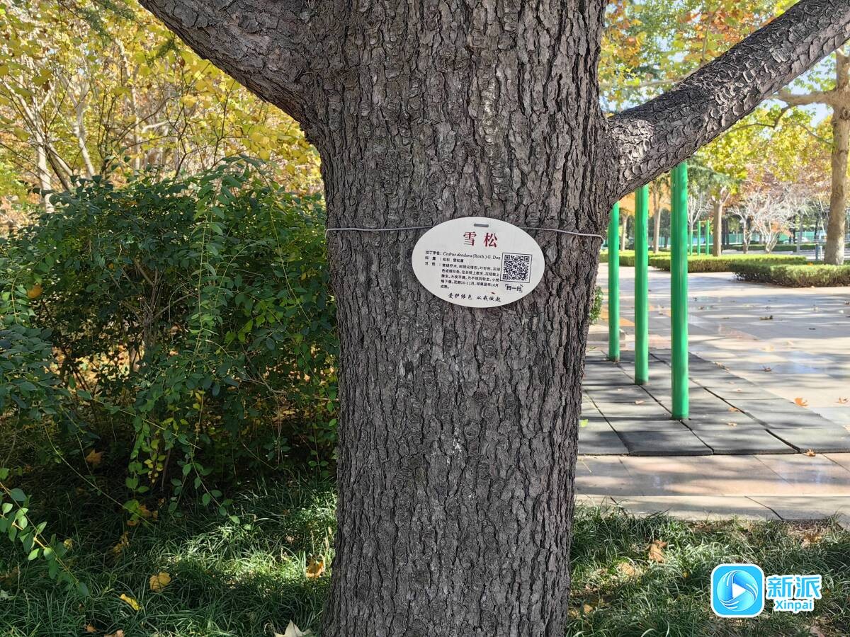 93ff11e50f09ec9e94ac6b69fe91c13c