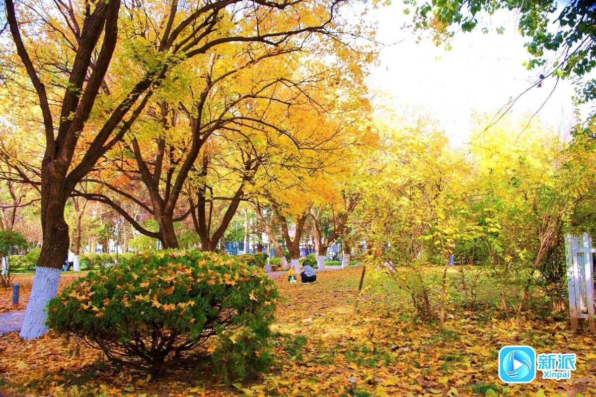 91ee046a6040adb485d2480602f4b9b6